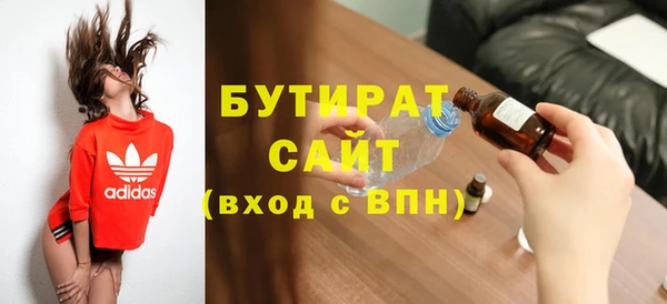 дмт Ельня