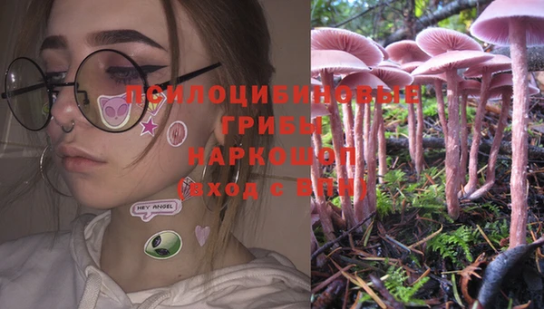 бошки Елизово