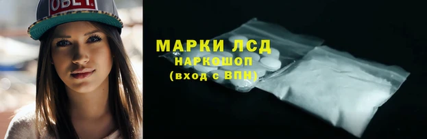 винт Дмитровск