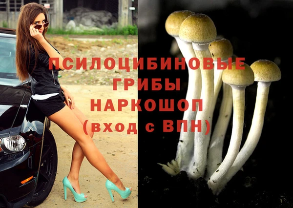 винт Дмитровск