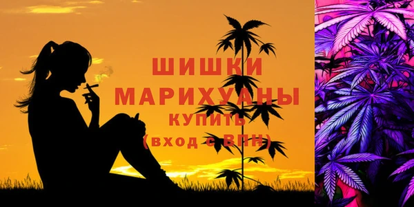 mdpv Дмитров