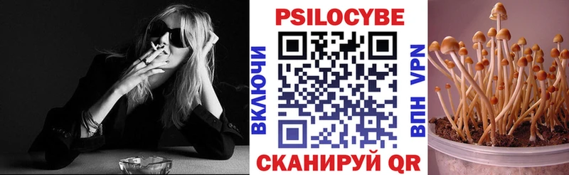 Галлюциногенные грибы Magic Shrooms  Купить где  Кемь 